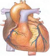 AORT DAMARINA AMELİYATSIZ STENT!