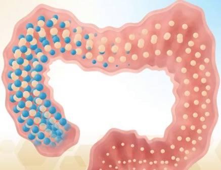 PROBİYOTİKLER VE PREBİYOTİKLER ÇOCUKLARDA OBEZİTE İLE SAVAŞMAYA DESTEK OLUYOR